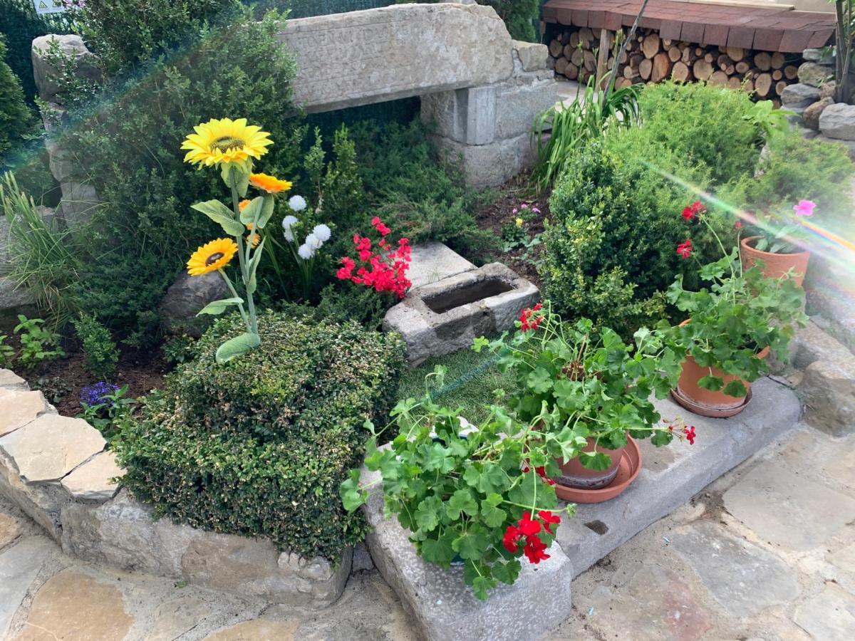 Casa Rural Laguarta - Restaurante ξενώνας Εξωτερικό φωτογραφία
